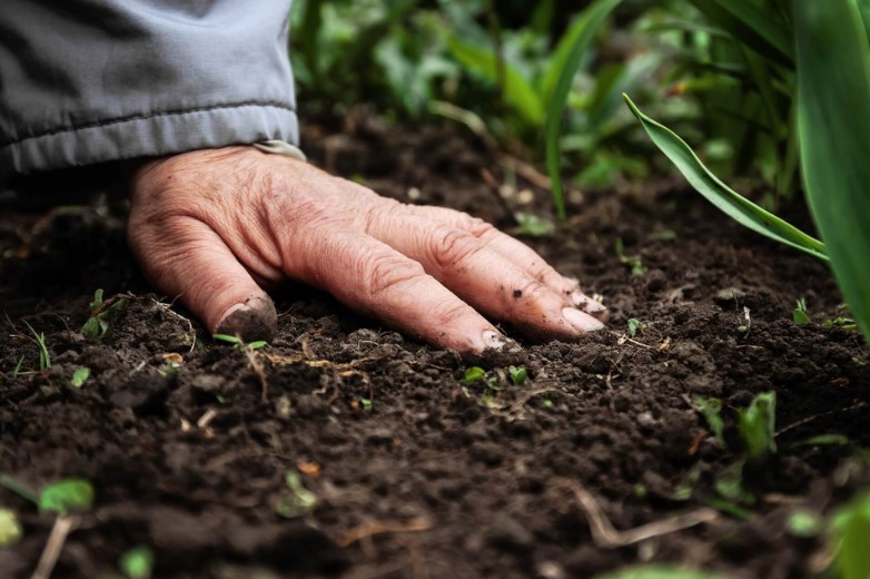 3 Facts About Fertilizers
