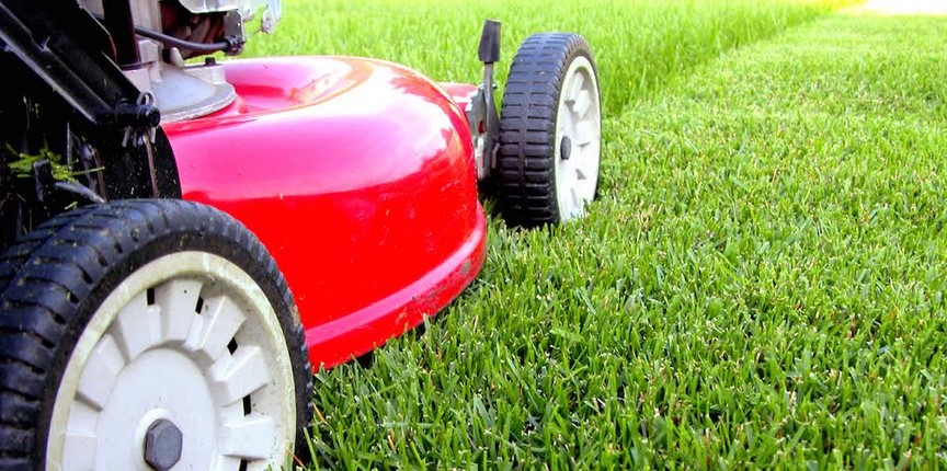 The Benefits of Lawn Care and Maintenance